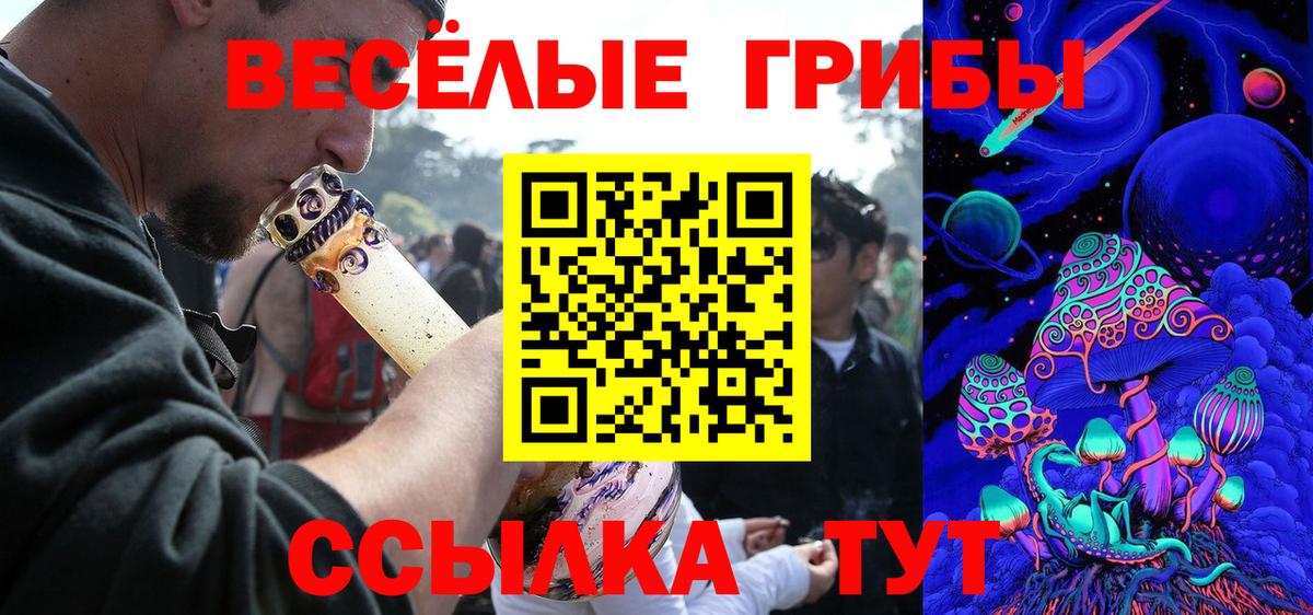 Галлюциногенные грибы прущие грибы Чистополь