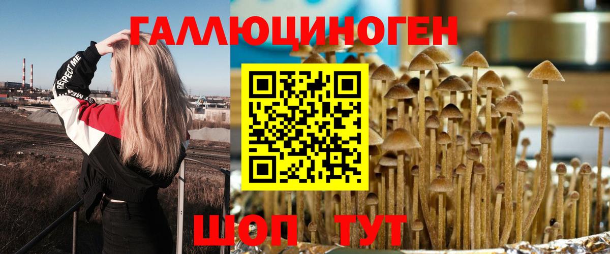Галлюциногенные грибы прущие грибы  Вход с VPN  Чистополь 